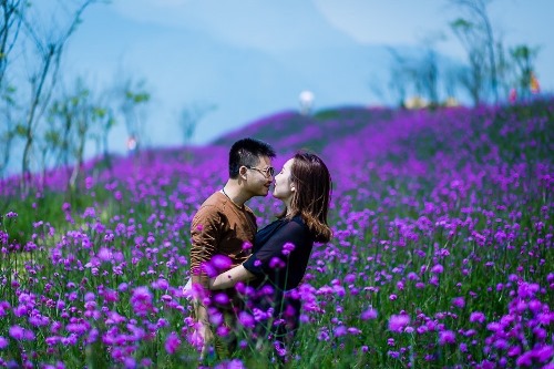 Nhất định phải đưa nàng đến Sa Pa ngày 20/10 này, mây Fansipan chưa bao giờ đẹp đến thế